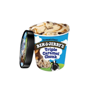Ben and Jerry Fudge Brownie(Small)